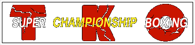 TKO Super Championship Boxing logo for Super Nintendo